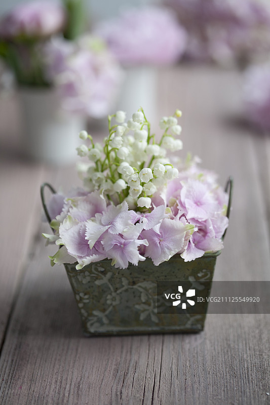 铃兰和绣球花复古容器插花图片素材