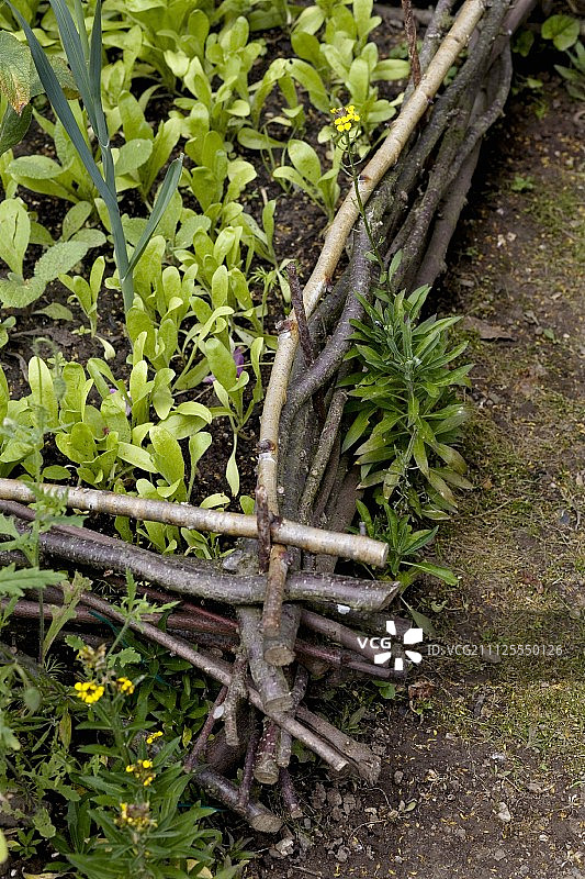 乡村花园编织树枝高架花坛图片素材