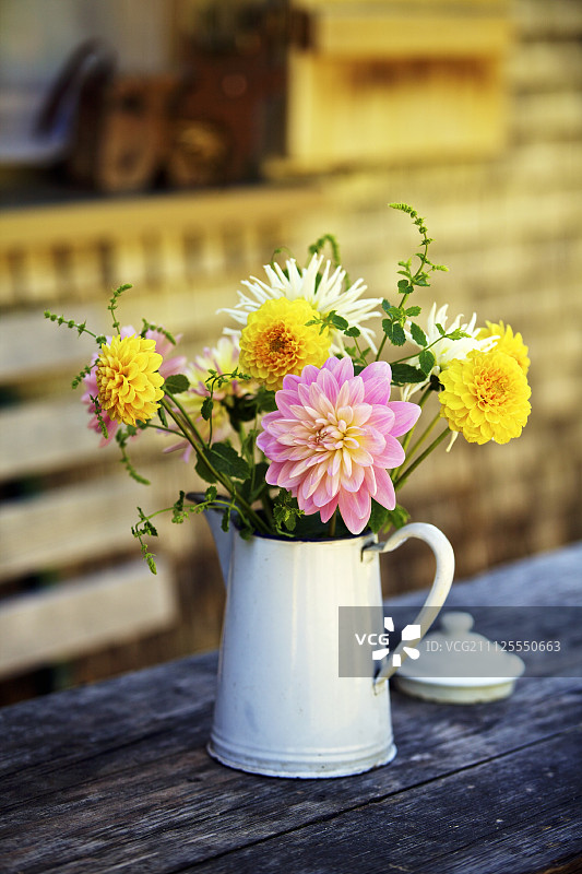 白色搪瓷罐中的大丽花，户外桌子图片素材