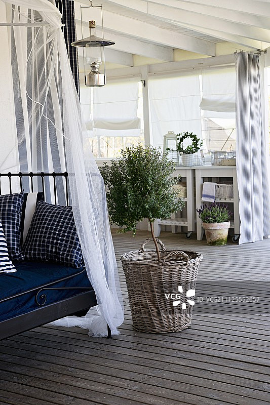 木制阳台上，带垫子和顶篷的金属沙发床，旁边是篮子里的小树图片素材