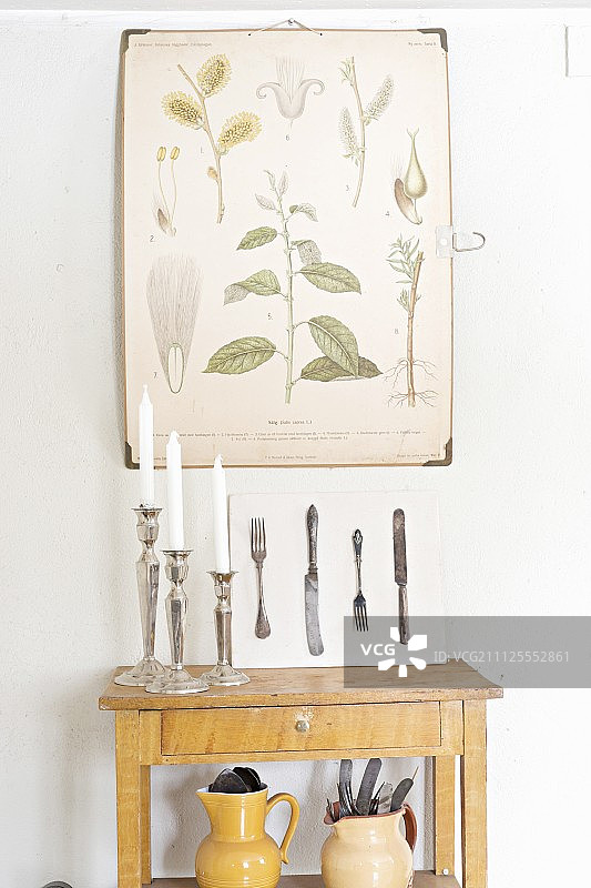植物图谱下方的简易控制台桌子上的烛台图片素材