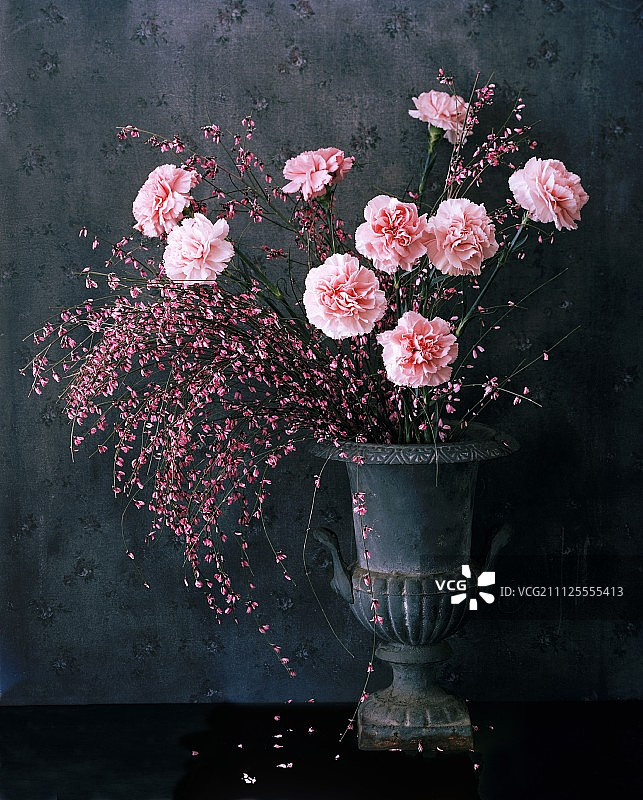 瓮形花瓶中的粉色康乃馨图片素材