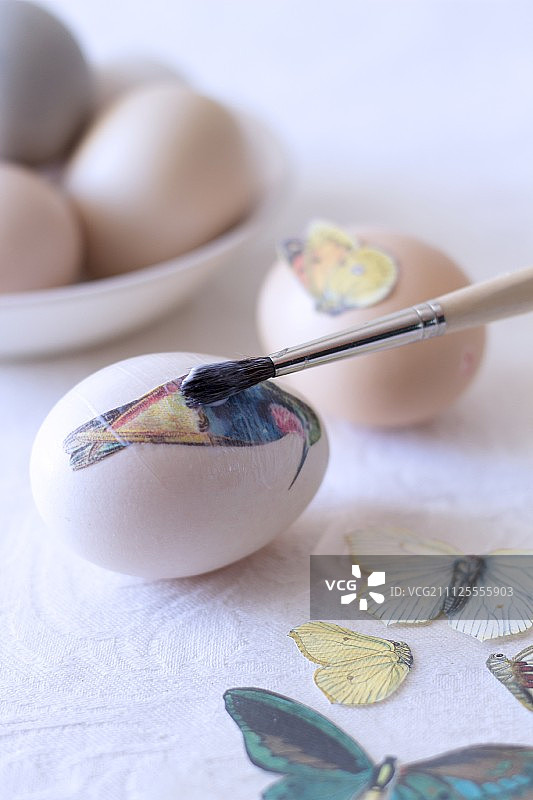 用剪纸装饰鸡蛋——将鸟和蝴蝶图案粘在鸡蛋上图片素材