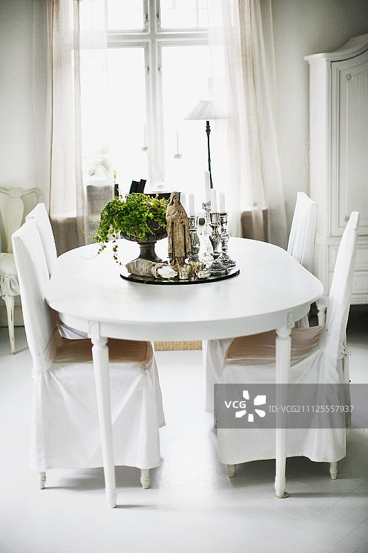 乡村风格餐厅的餐桌绿植旁的白色椅套座椅图片素材