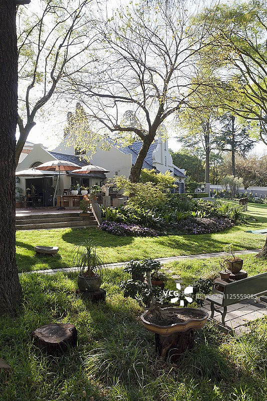 树下的长椅和花盆，通往开普敦荷兰风格露台和房屋的台阶图片素材