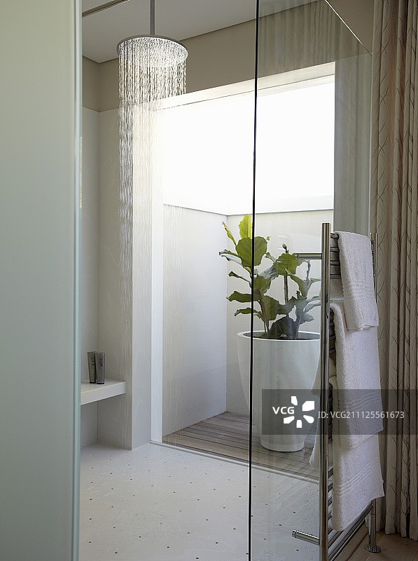 带玻璃门的步入式淋浴间和庭院植物图片素材