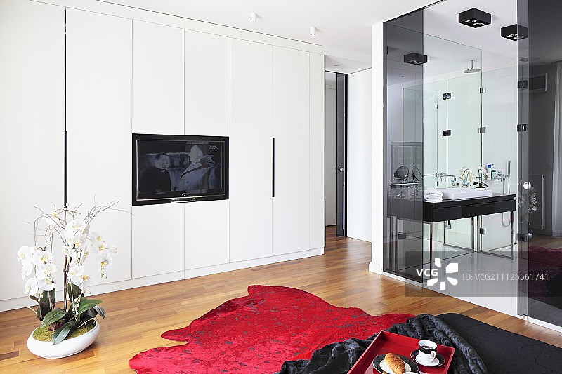 木地板上的盆栽兰花与红毯图片素材