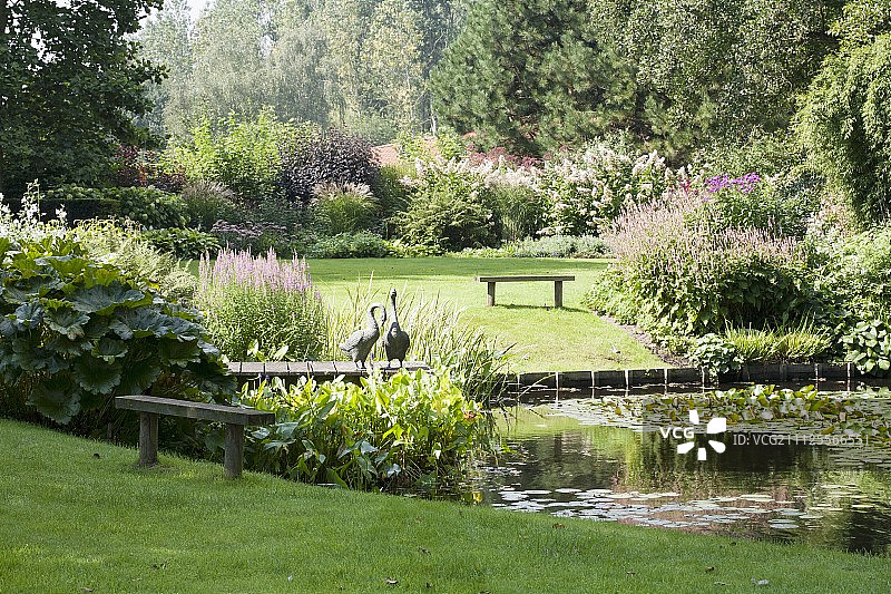 优雅园林池塘木制码头上的鹅雕塑图片素材