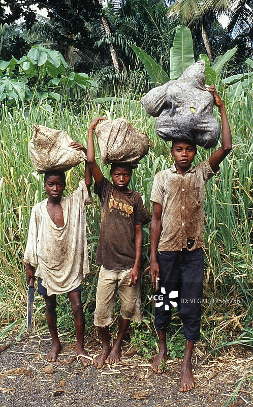 奇异植被图片素材