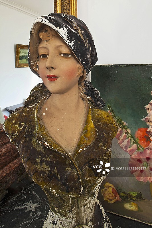 花卉画前穿着传统服装的彩色女子半身像图片素材