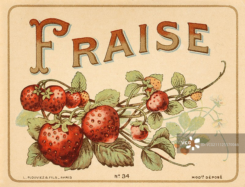 老式插画“草莓”图片素材