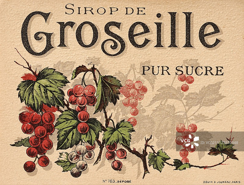 “醋栗糖浆”复古插画图片素材