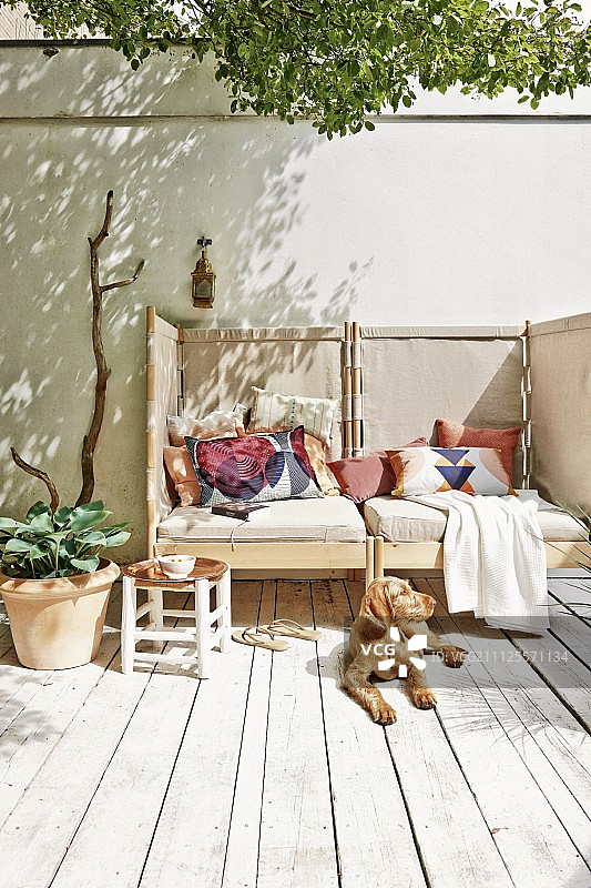 狗在舒适的带屏风边的乡村阳光木制甲板上晒日光浴图片素材