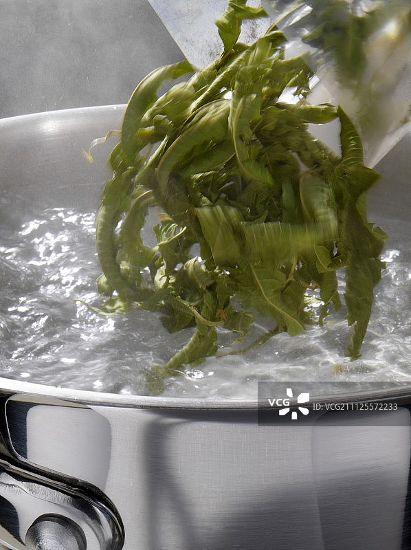 Herbal tea图片素材