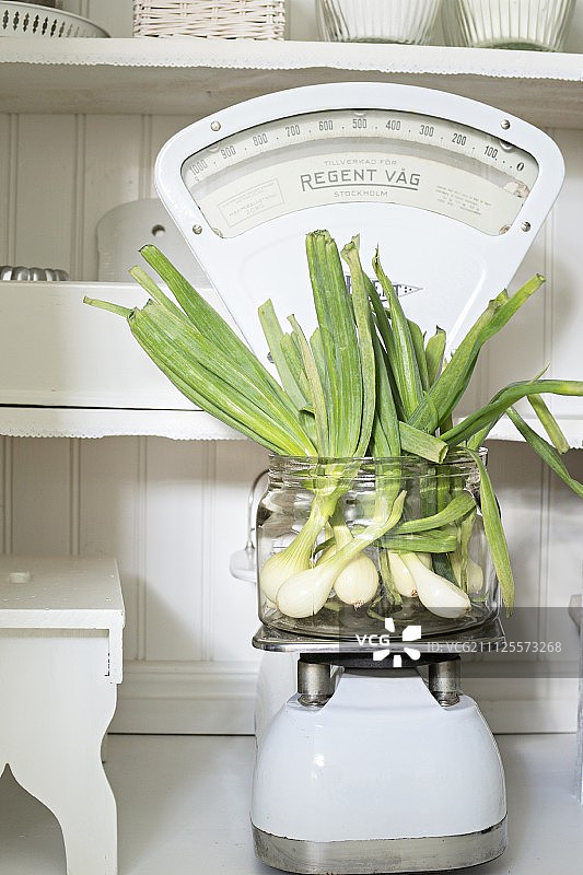 旧式厨房秤玻璃罐中的香葱图片素材