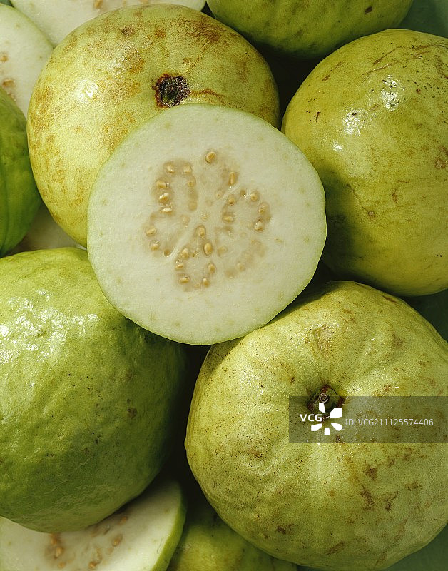 番石榴图片素材