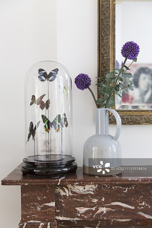 大理石壁炉架上的玻璃罩陶瓷花瓶和蝴蝶标本图片素材