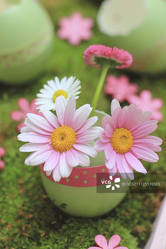 绿色染色的蛋壳上装饰着波点丝带，苔藓上的雏菊和牛眼雏菊图片素材