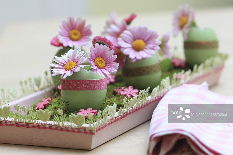 木托盘上染成绿色的蛋壳中的粉色雏菊图片素材