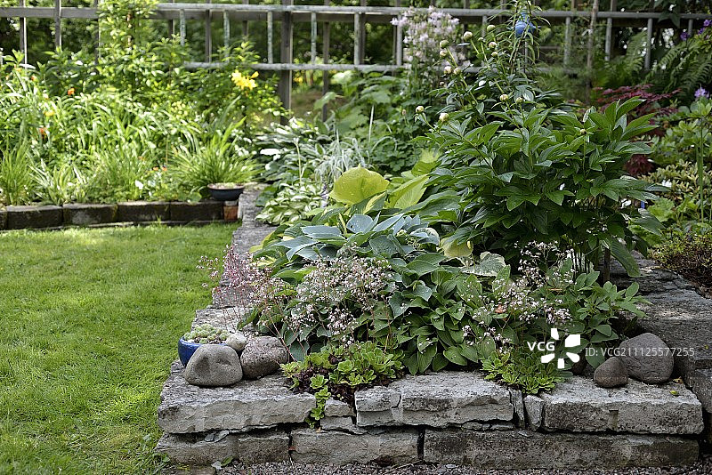 夏季花园中带石头围栏的高架苗床图片素材