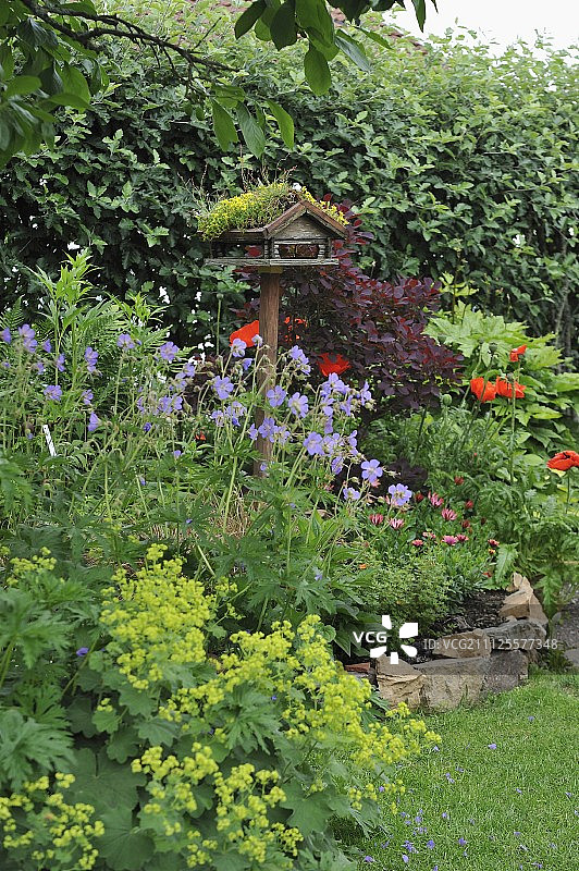 繁花似锦花园中的鸟食台图片素材