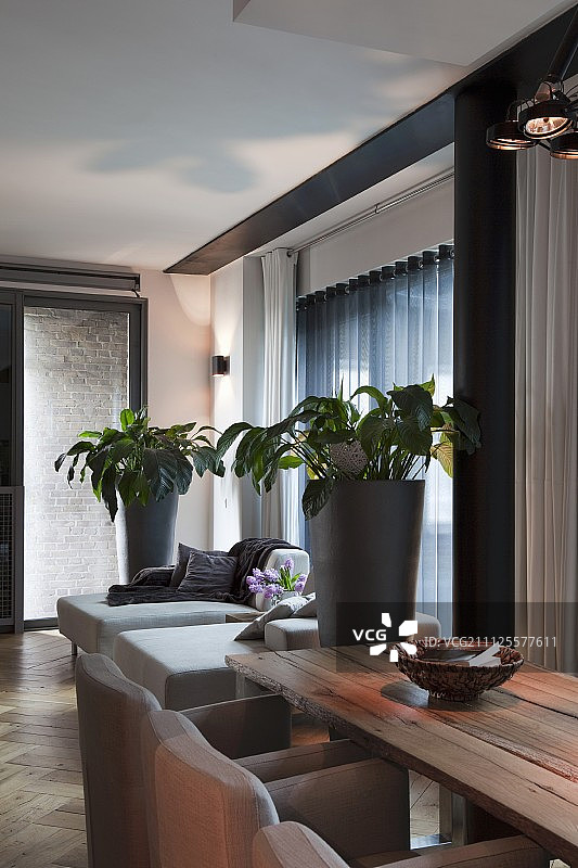 优雅室内：质朴餐桌旁的软垫扶手椅和绿植间的躺椅图片素材