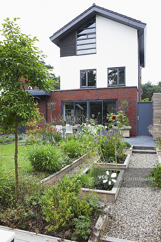 从花园看，穿过高架苗床，到达现代住宅的延伸部分图片素材