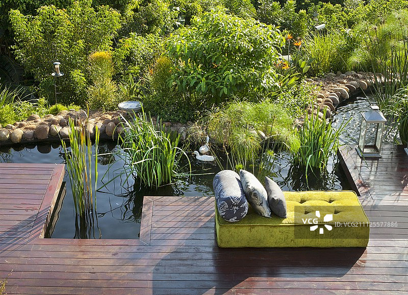 鹅卵石岸和芦苇田园泳池旁的黄色天鹅绒靠垫躺椅图片素材