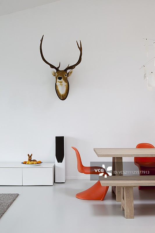 餐桌与橙色经典椅，墙上有狩猎纪念品图片素材