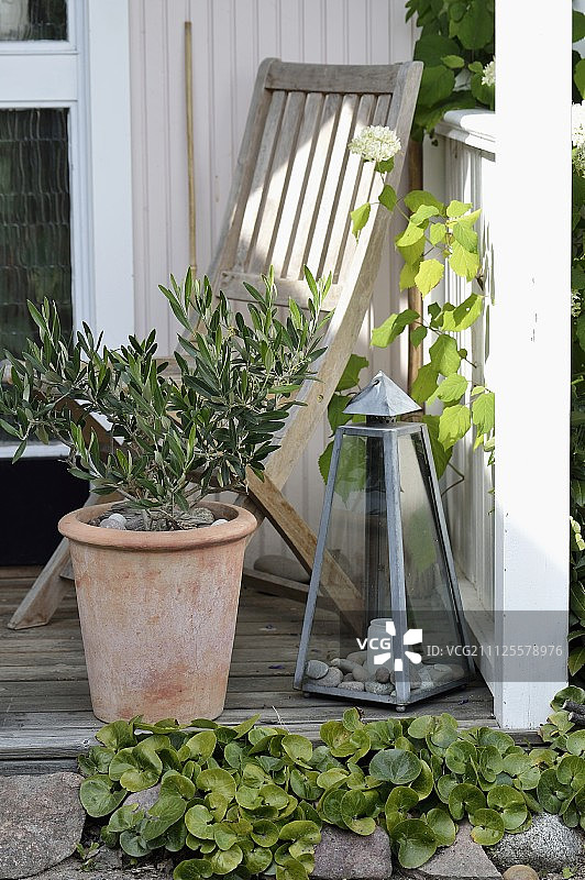 赤陶盆栽小橄榄树、烛台和柚木椅图片素材