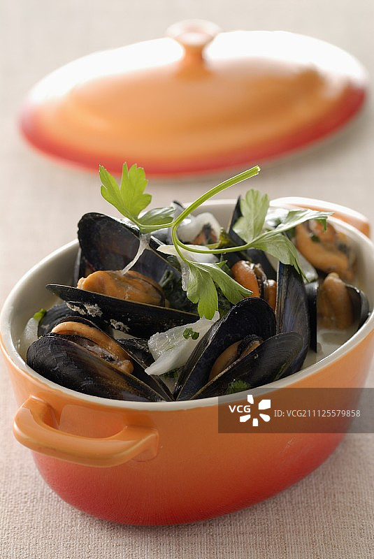 奶油贻贝图片素材