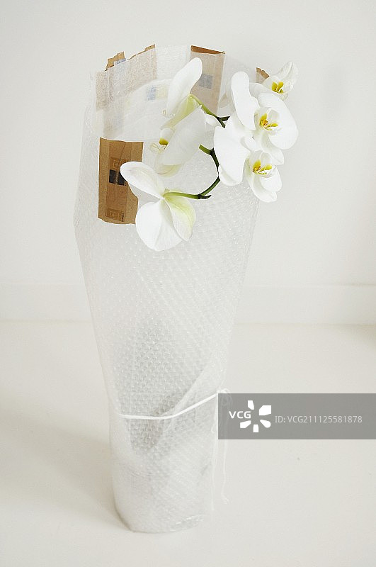 包裹在气泡膜中的白色兰花图片素材