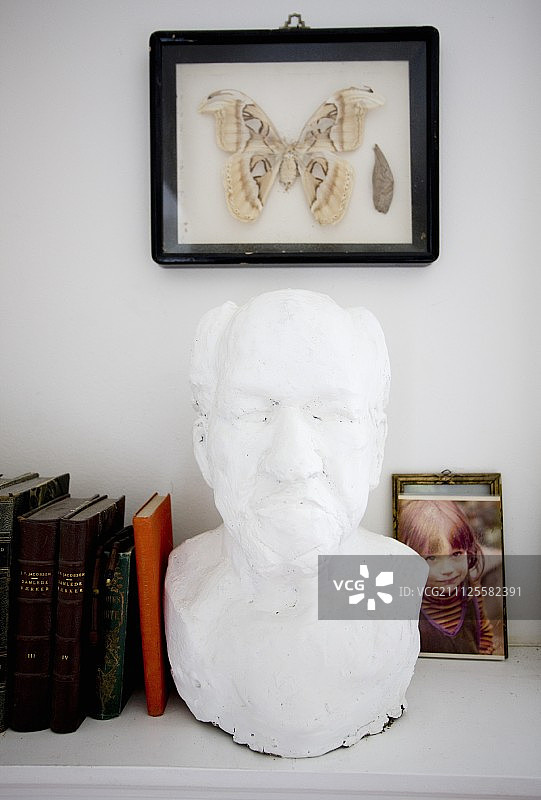书架上框架蝴蝶下方的男子白色石膏半身像图片素材