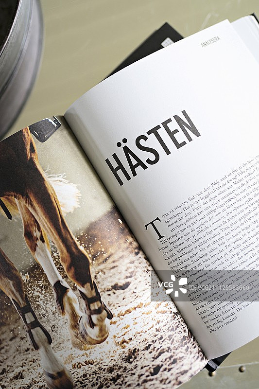 打开的书本，带有马的图片图片素材