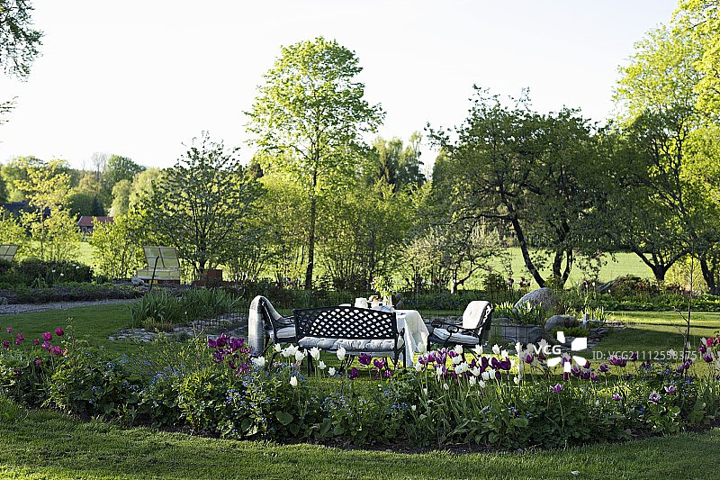 花园中郁金香花坛旁的田园式座位区图片素材