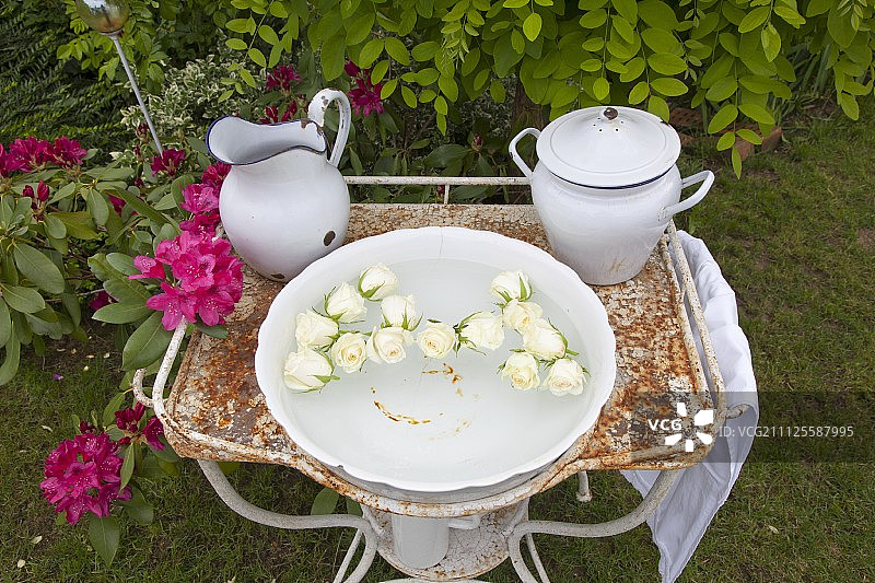 漂浮在花园锈迹斑斑金属支架洗脸盆中的白色玫瑰图片素材