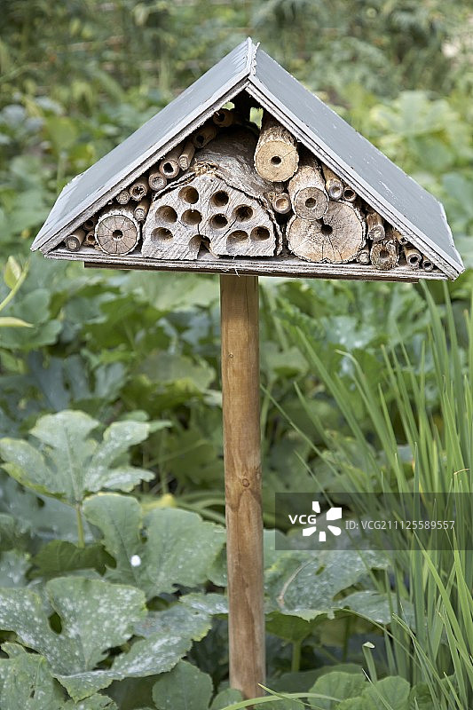 花坛木杆上的昆虫旅馆图片素材
