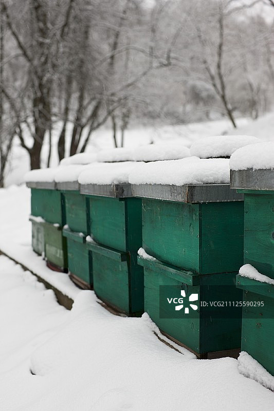 雪景中被雪覆盖的密封蜂箱图片素材