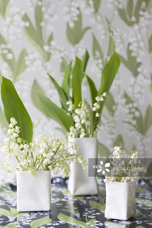 墙纸前设计师花瓶中的铃兰图片素材