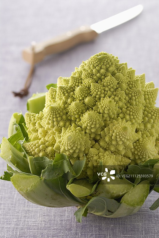 宝塔甘蓝图片素材