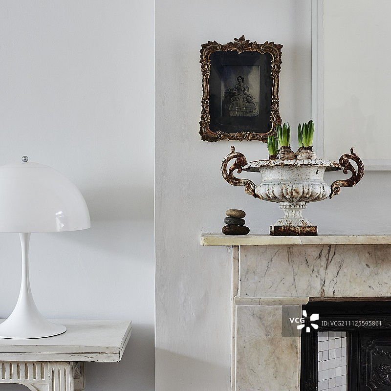 老式瓮中的春季球茎和潘特拉灯图片素材