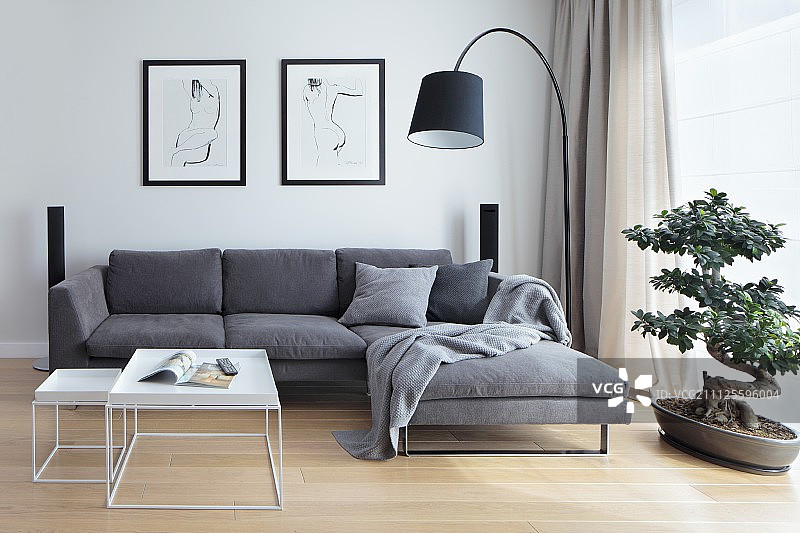 灰色沙发组合、黑色弧形落地灯和盆景树前的白色咖啡桌图片素材