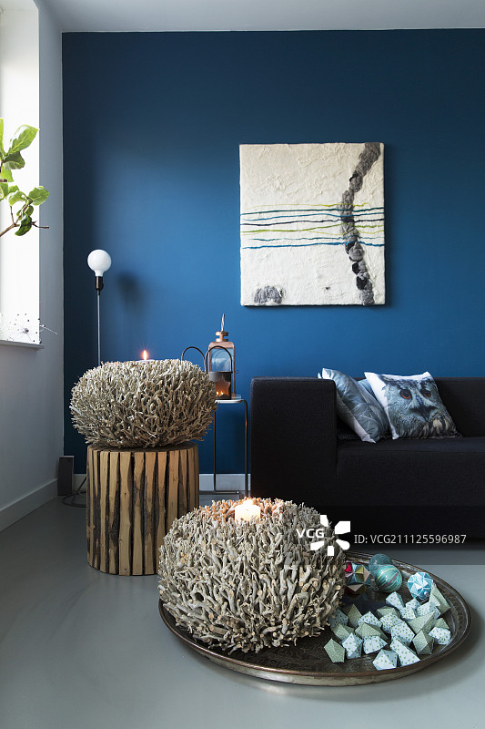 客厅中的蓝色墙壁和珊瑚形装饰品图片素材