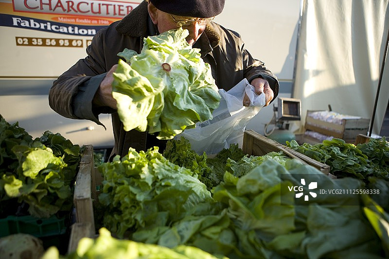 市场上的生菜摊位图片素材