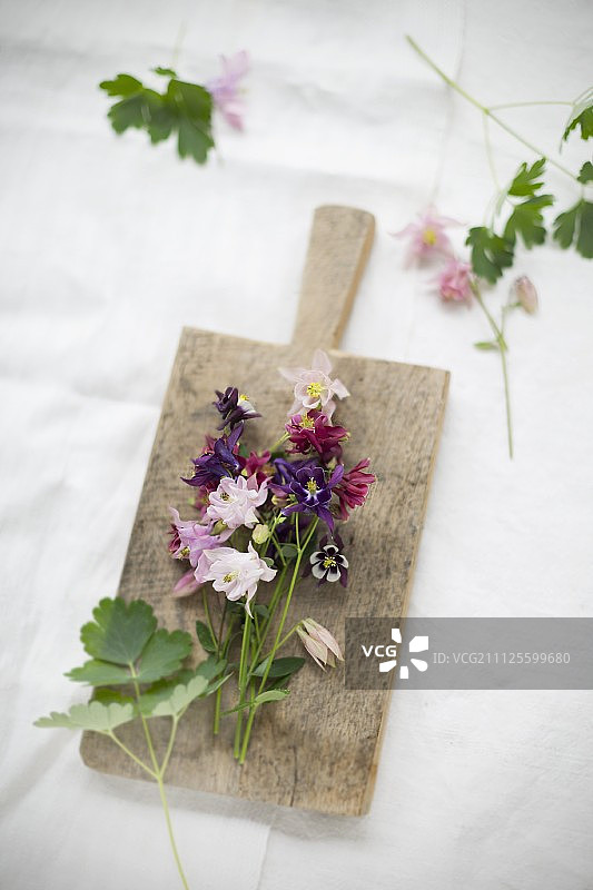 小木板上的各色耧斗菜图片素材