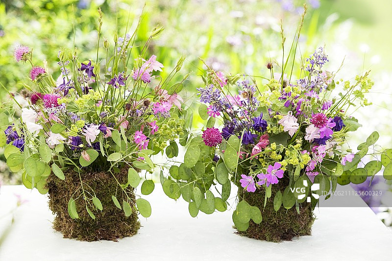 DIY花瓶中由耧斗菜和女士披风组成的花束，包裹着苔藓图片素材