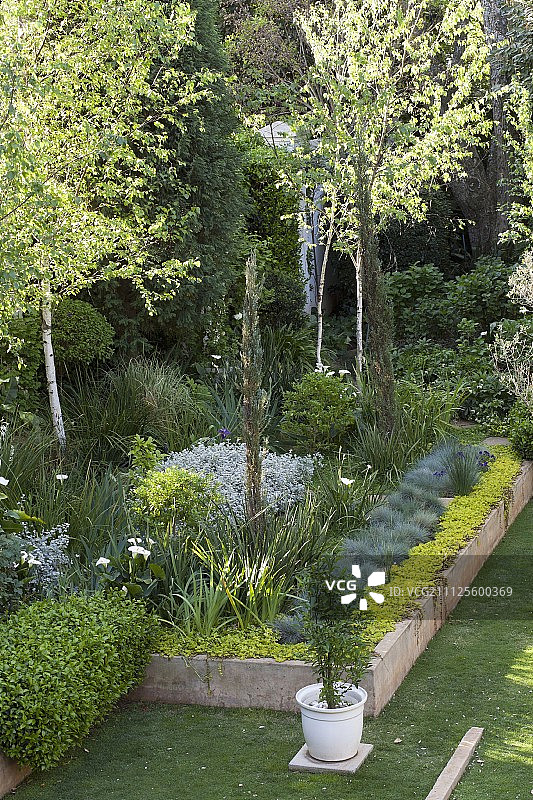 花园中石头镶边的花坛和树木图片素材