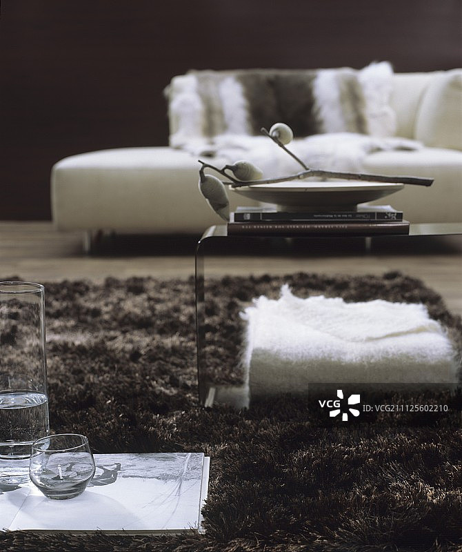 白色和棕色客厅，配有现代躺椅和长绒地毯上的边桌图片素材