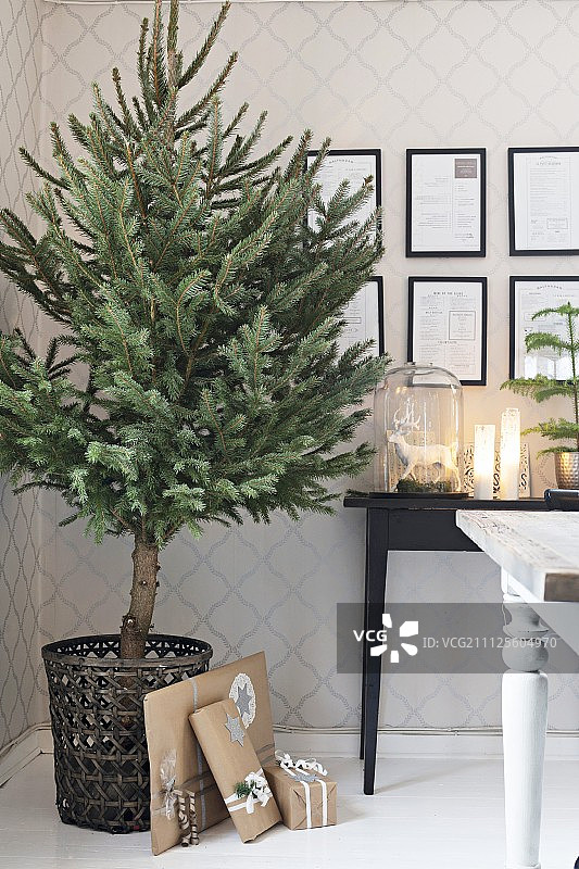图案壁纸前篮子里的未装饰的圣诞树图片素材