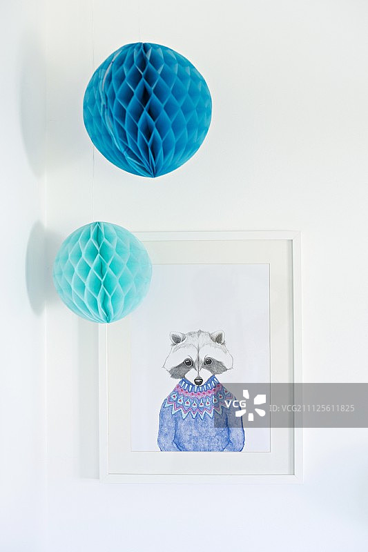 浣熊白色相框绘画上方的两个蓝色纸绒球图片素材
